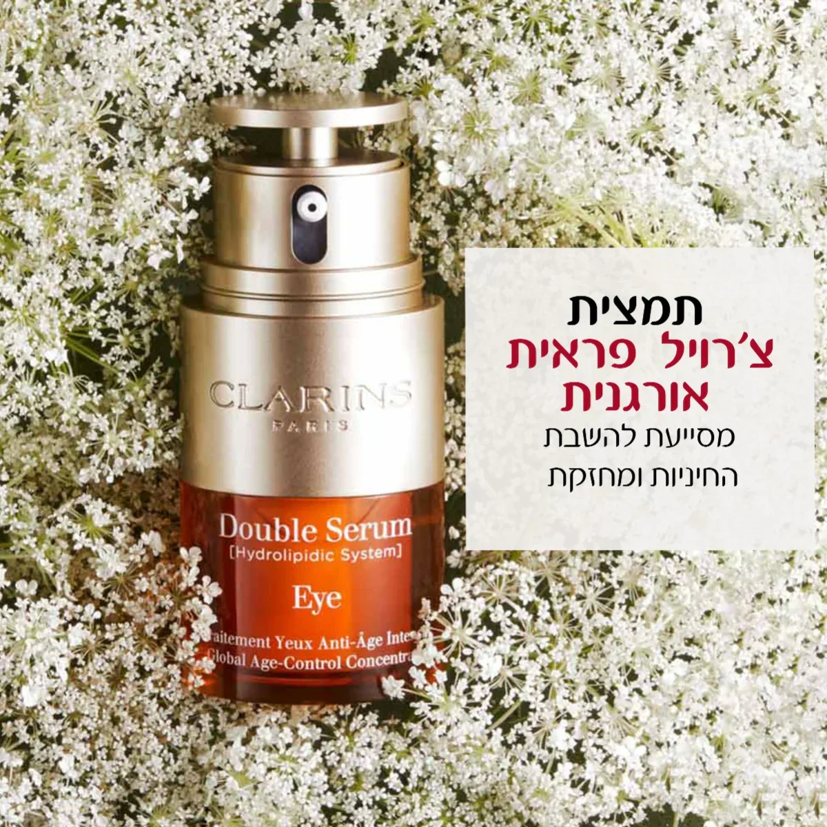 תמונת מוצר 3
