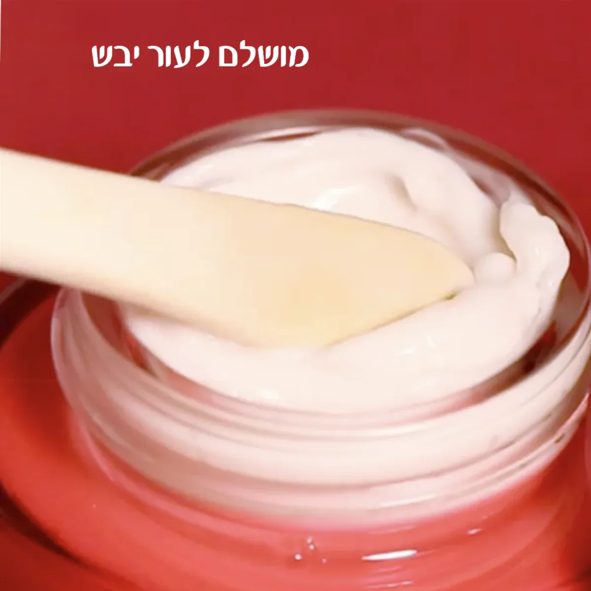 תמונה ממוזערת 2