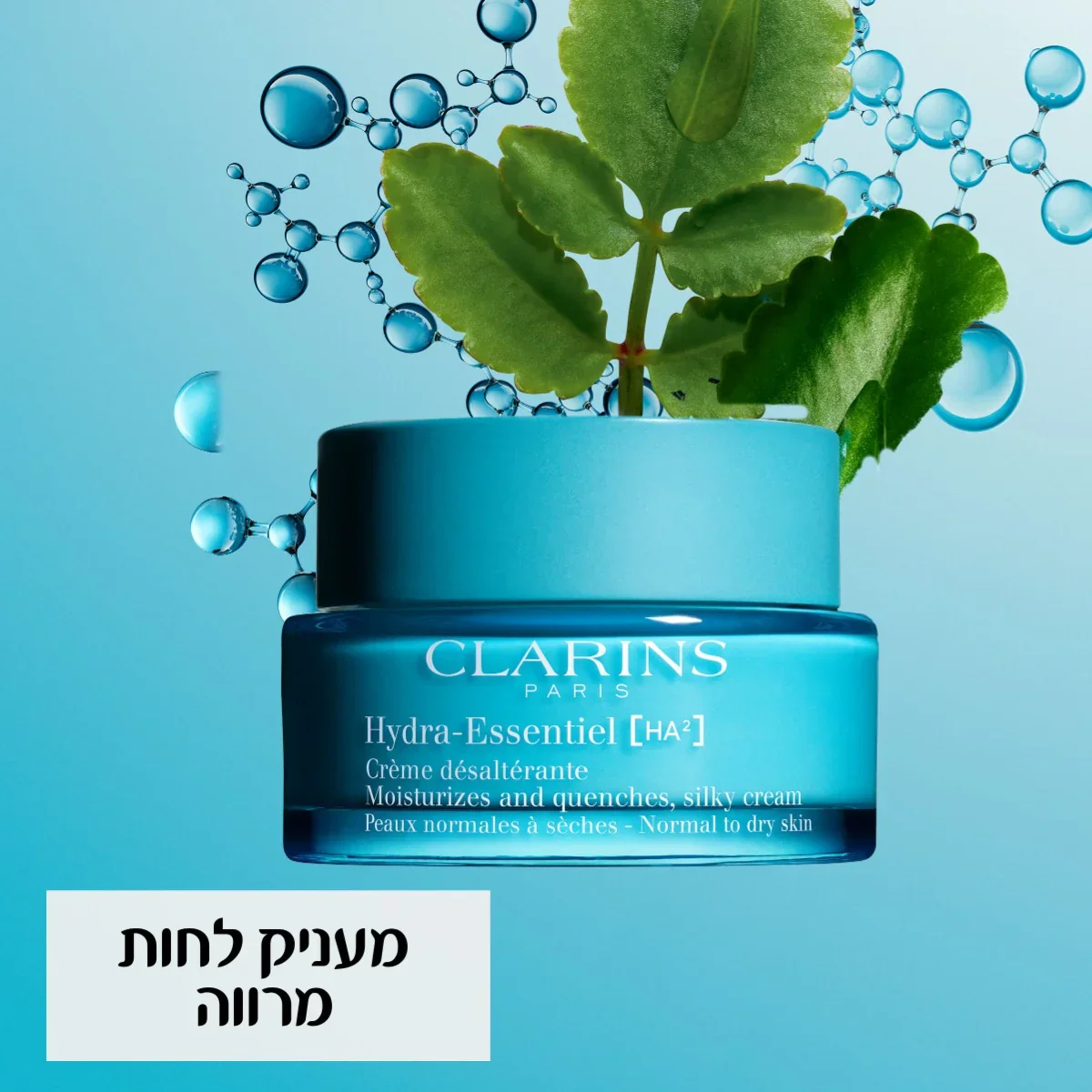 תמונת מוצר 4